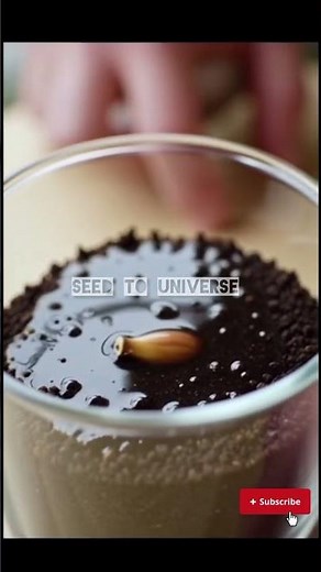 “🍎Apple Plant Growth Cycle – From Seed to Tree in Stunning Time-Lapse! 🌱✨” #plantgrowth #timelapse