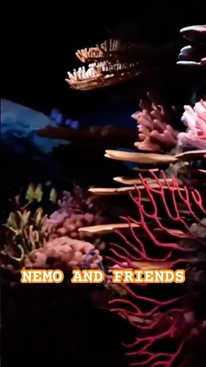 On a Journey with Nemo and Friends at EPCOT!"