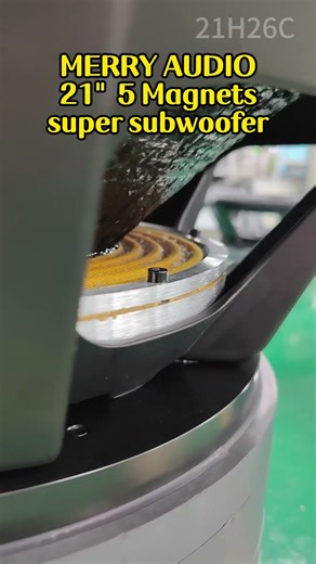 21 inch subwoofer