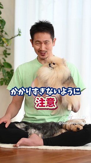 犬の抱っこの正しいやり方を学ぼう♪