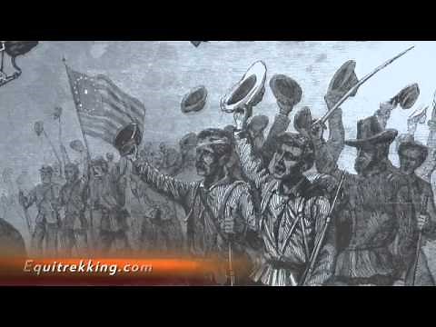 Morgan Horse History on Equitrekking