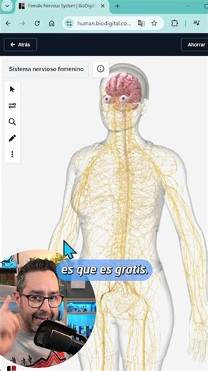 🫀 EXPLORE THE HUMAN BODY IN 3D: EXPERT LEVEL