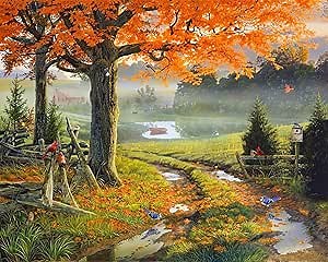 Springbok - Country Home - 1000 Piece Jigsaw Puzzle- Fall Landscape That's Relaxing