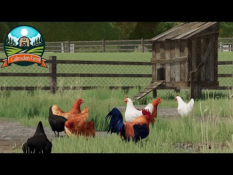 LS22 CALMSDEN FARM #06: Die ersten Hühner auf unserem Hof | FARMING SIMULATOR 22