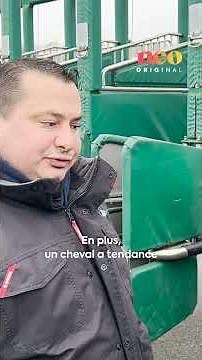 David is a horse pusher