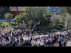 La sculpture monumentale panda dévoilée