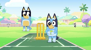 Sweet moment in Bluey's cricket episode