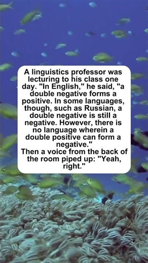 Linguistics Professor Gets #jokes #nerdjokes #linguistics #grammar #smart #humor #joke #laugh #mem