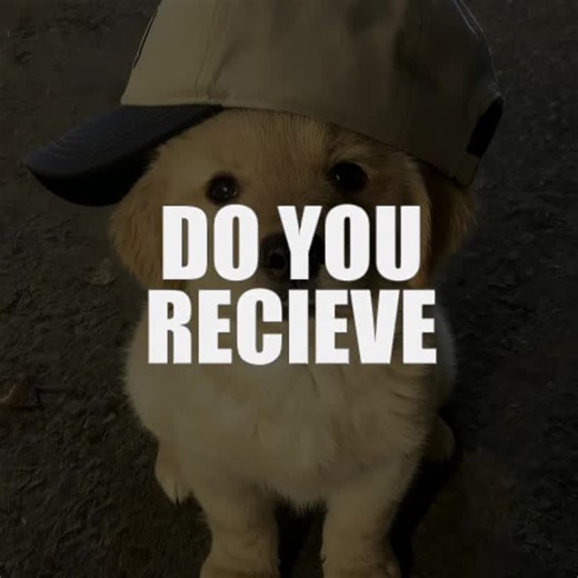 like a parti #dogo #xyzbca #fyp #viral #capcut