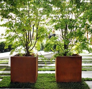 [Hot Item] Rustic Metal Tree Planter Corten Steel Square Outdoor Planters