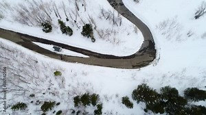 sundance utah pine forest covered in snow over a hiking trail parking lot