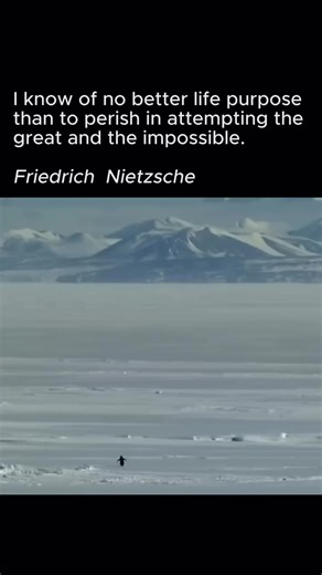 The Penguin Edit: A Moment of Freedom in Herzog's Film
