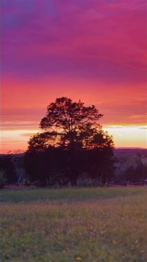 Sunset View 🌅 No Edit — Feels Like Heaven ✨ 📍 Manassas National Battlefield Park #usa #manassas
