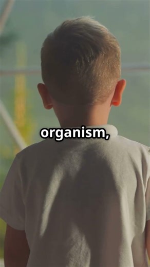 John Locke and Tabula Rasa: Psychology, Experience, and the Formation of the Mind#psychology#history