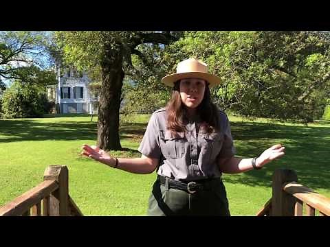 Life on a 19th Century Plantation: Part 1