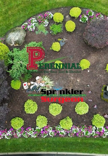 Perennial Lawn Care @Sprinkler Surgeon = dream team for a greener lawn 💦🌱 A truly healthy yard takes more than just one service. It’s the combination of expert lawn treatments and efficient irrigation that keeps grass thick, green, and thriving all season long. Perennial Lawn Care provides the nutrients, weed control, and care your lawn needs, while Sprinkler Surgeon makes sure every inch gets the right amount of water with a properly working sprinkler system. Strong roots. Even coverage. Lush