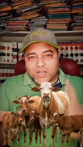 525K views · 141K reactions | Gaay ke naam par TRP lene wale log ek...