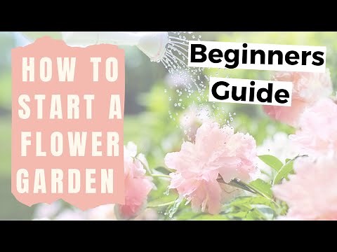 How to Start a Flower Garden for Beginners - Home Gardening for Beginners Flowers