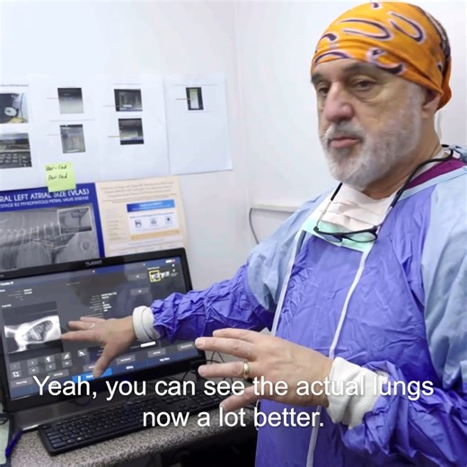 535K views · 21K reactions | Adorable 3-month-old puppy has a life threatening birth defect  She is unable to eat solid food due to a strangled oesophagus  | Bondi Vet | Facebook