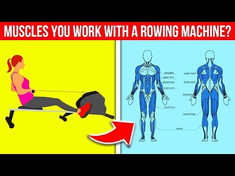 What Muscles Do You Work with a Rowing Machine?