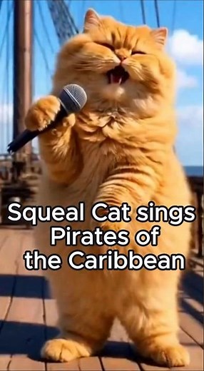 Squeal Cat sings Pirates of the Caribbean 🏴‍☠️