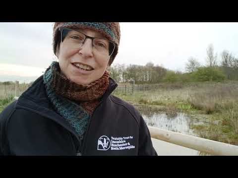 Lunt Meadows nature reserve wellbeing sessions. An introduction to Mieke