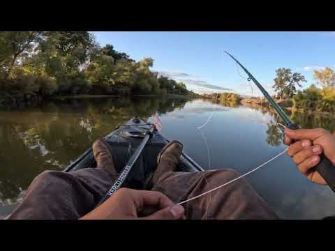 Budget Fly Fishing! Testing Walmart’s Fly Fishing Rod from a Kayak 🎣