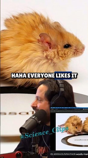 How Scientists Created Woolly Mice Using Mammoth DNA – Explained on Joe Rogan Experience