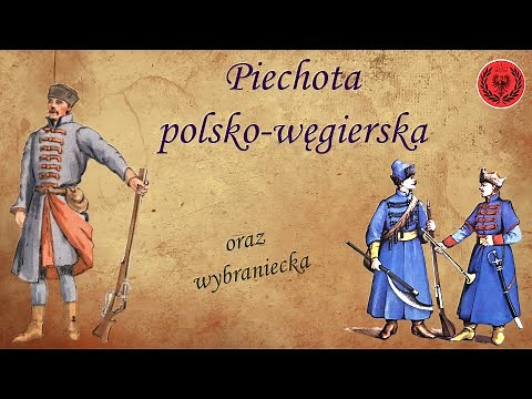 Czym była piechota POLSKO-WĘGIERSKA oraz piechota WYBRANIECKA?