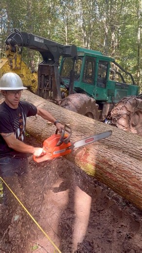 Billy Bucking Logs Using His Favorite Landing Saw