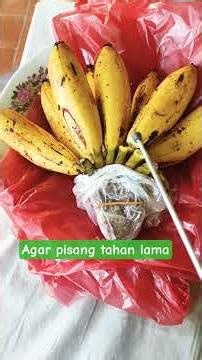 Cara agar pisang tahan lama dan tak mudan protol