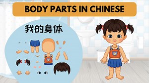 My Body Parts (我的身体) in Chinese Powerpoint Slides