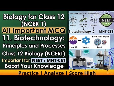 11. Biotechnology: Principles and Processes | Important MCQs | NCERT | NEET 2025 | Class 12 Biology