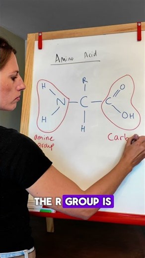 Amino Acids- Learn this GENERAL STRUCTURE