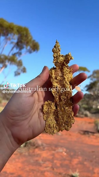 Available for purchase at our Richmond auctions September auction x