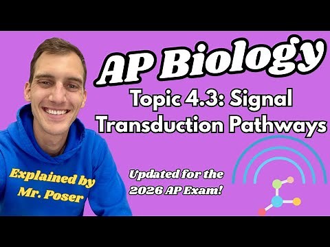 4.3 Signal Transduction Pathways - AP Biology (Updated 2025-2026)