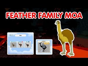 FEATHER FAMILY MOA BIRD [PREHISTORIC BIG BOI!?]