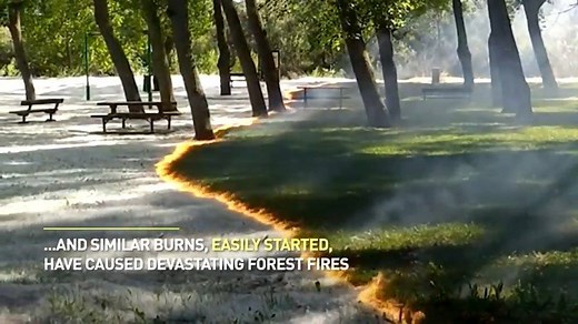 39K views · 668 reactions | In one of the most mesmerizing videos we've seen, a line of fire burns up poplar fluff in a park in Spain, leaving trees, benches and the green grass underneath virutally untouched. Firefighters responded swiftly to the scene, putting out the flames with no damage or injuries reported. | The Weather Network | Facebook