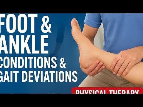 Foot & Ankle Conditions + Gait Deviations | Physical Therapy Guide