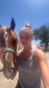 272K views · 10K reactions | Bath time for Fred! 識 #horse #horses #yearling #gelding #bath #bathtime #water #soap #clean #hot #Summer #soaked #wet #soapy | Madalynn L Redline | Facebook