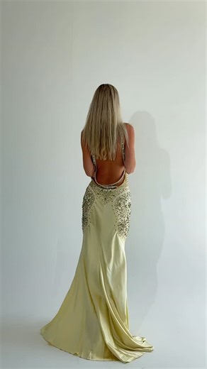 Raffe Vintage on Instagram: "One of my favorite Raffe pieces from this year. The show stopping Versace Spring/Summer 2006 runway crystal gown…."