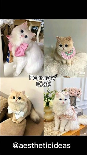 Your Birthday Month, Your Pet ✨💕 |
