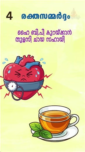 തുളസിയുടെ ഔഷധ ഗുണങ്ങൾ | Magical Healing Power of Holy Basil #homeremedies