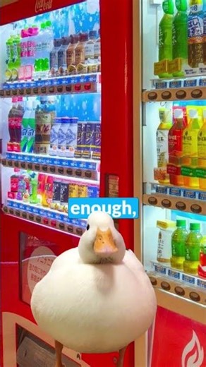 Japan has every vending machine for everyone #japan