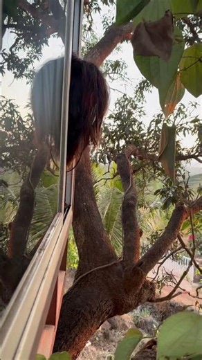 30 sounds peaceful✨🧿🌻#trending #viral #shortvideo #shortsfeed #short #collab