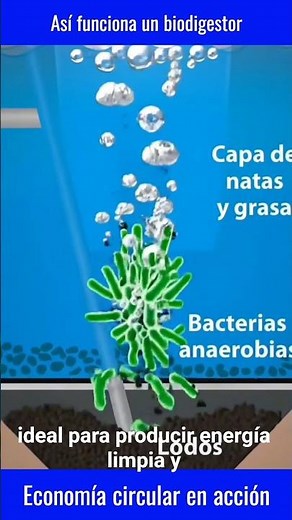 This is how biodigesters work 🤯 From waste to clean energy