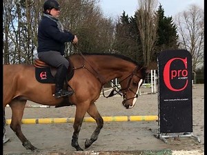CAVALIER-PRO LEARNING nouveauté 2021 exclusivité mondiale