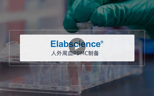 Elabscience_人外周血PBMC制备常规操作流程