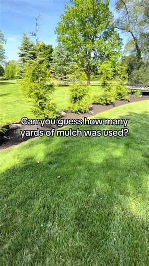 8 yards of fresh mulch laid down to clean up the beds, lock in moisture, and give this yard a sharp, finished look 🌱 Mulch isn’t just about looks — it protects roots, controls weeds, and levels up curb appeal instantly. Simple upgrade. Big impact.#Landscaping #followme #beforeandafter #SmallBusiness #HardWorkPays