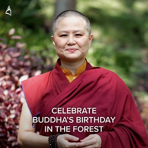 𝗬𝗢𝗨’𝗥𝗘 𝗜𝗡𝗩𝗜𝗧𝗘𝗗 to celebrate #Wesak in our 🌳 Forest Retreat! (just 1 hour from Kuala Lumpur) Wesak isn’t just another holy day. It’s a 24-hour window of time when good actions create extra merits — 𝟏𝟎𝟎 𝐦𝐢𝐥𝐥𝐢𝐨𝐧 𝐭𝐢𝐦𝐞𝐬 𝐦𝐨𝐫𝐞! Kechara Forest Retreat is a 35-acre sacred space in the forests of #Bentong. When you celebrate Wesak Day at Kechara, it’s your chance to reconnect with nature, with Buddha’s teachings, and most of all, with your inner Buddhanature. So how can you